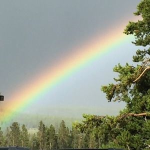 Meet your Posher, Maureen